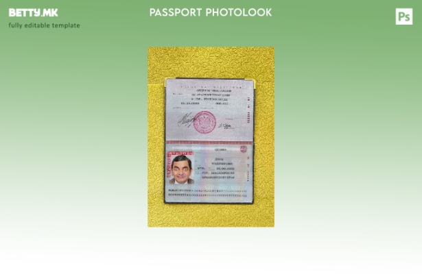 Модерен стил Шаблон за изглед на фотографија од руски стандарден пасош